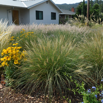 St. Helena farmhouse