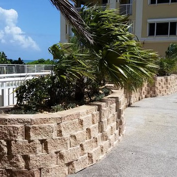 Tropical landscape