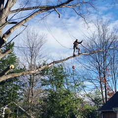 Grinders tree service