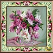 Carol Dougherty's photo