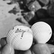 Cindy Welle's photo