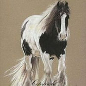 Yvonne Siwy's photo