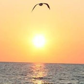 Julie Malone's photo