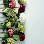 Phạm Tiểu Thư's photo