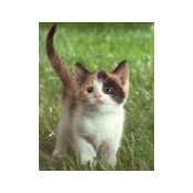 Peggy Moran's photo