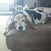 Michelle Shader's photo