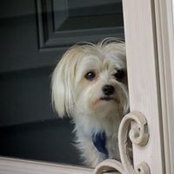 Judy Booth's photo