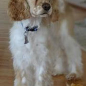 Foto de Sharon Turner Swartz
