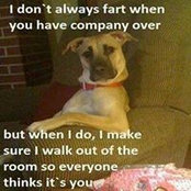 Tammy Knobbe's photo