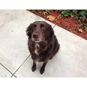 David Swafford's photo