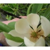 Anneli Touart's photo