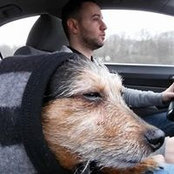 Matthew Zoccola's photo