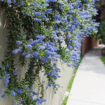 2016 Native Plant Garden Tour
