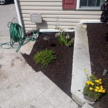 Our Work