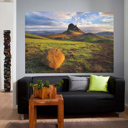 National Geographic Murals - Wall Decals