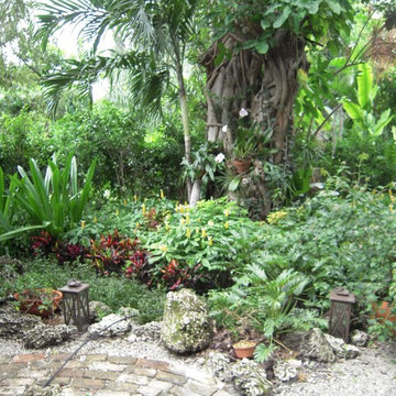 Coconut Grove garden