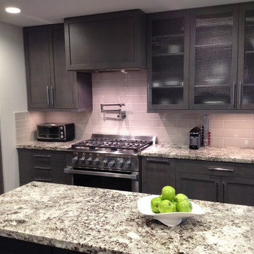 Willowbrook Kitchen Remodel