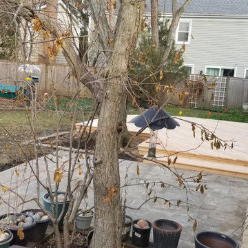 Northbrook Rebuild Existing Cedar Deck