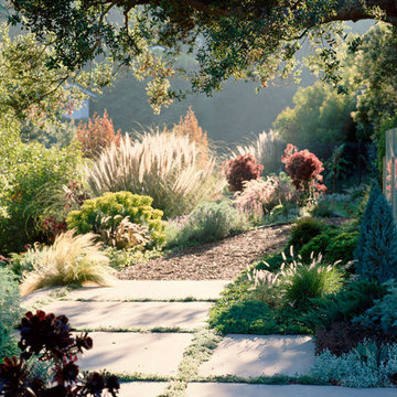 2015 Garden Dialogues: Hollywood Hills, Hollywood Hillside Residence, May 31