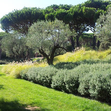 Cathcart Garden