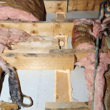 Attic Mold Remediation Assessment