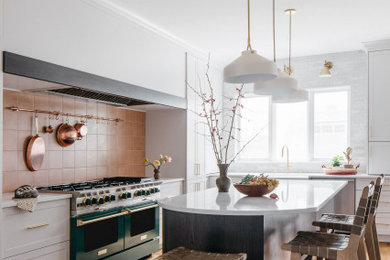 Kitchen - transitional kitchen idea in Chicago