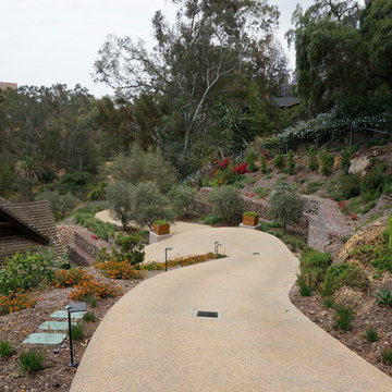 Drought Tolerant