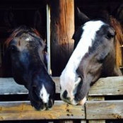 Foto von Deb Bevelacqua