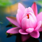 Bhawna Sharma's photo