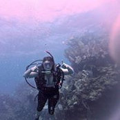 Ruby Rochelle's photo