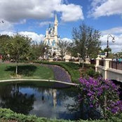Christa McCay's photo