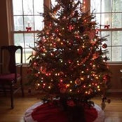 Jeanette Young's photo