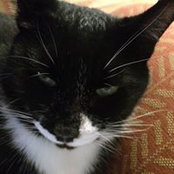 Jeanne Moore's photo