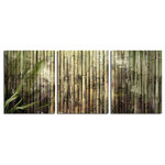 Ready2HangArt - Bamboo Abstraction Canvas Wall Art 3-Piece - This abstract canvas art set is the perfect addition to any contemporary space. It is fully finished, arriving ready to hang on the wall of your choice.