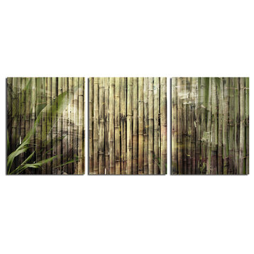 Bamboo Abstraction Canvas Wall Art 3-Piece
