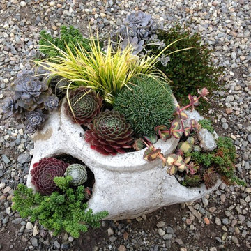 Hypertufa Trough Gardens
