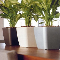 Modern Planter - Products