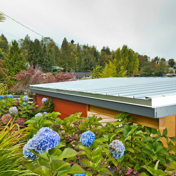 10' by 12' Seattle studio