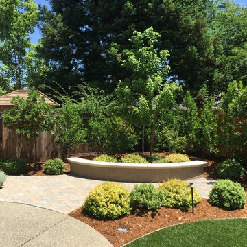 Gold River Backyard