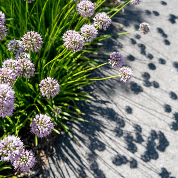 Modern Front Yard Landscape - Mequon