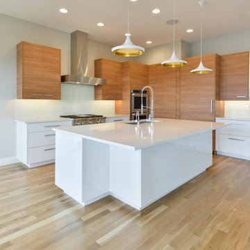 Colorado Drytown Grove