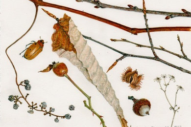 Beverly Duncan, Ashfield Composition Winter Browns and Grays
