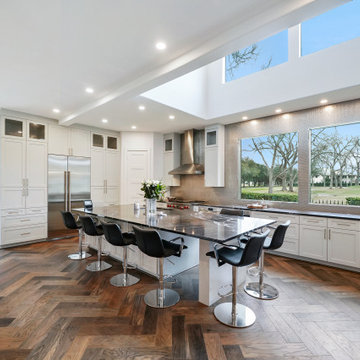 Kitchen and Home Remodel