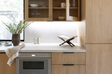 Kitchen - transitional kitchen idea in San Francisco