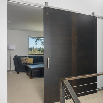 StileLine® - a MIDRANGE modernist flush interior door