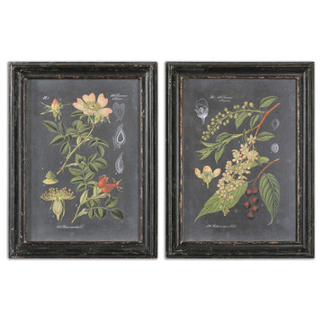 Uttermost Midnight Botanicals Framed Art Prints, Set of 2