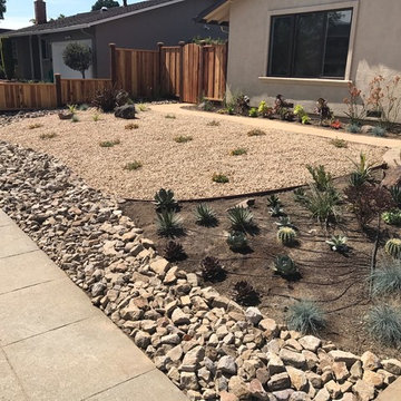Drought Tolerant Landscape "Zero Scape"
