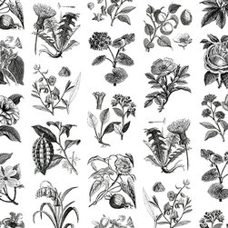Fruit & Flora - Wallpaper