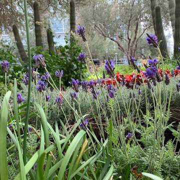 Skysong Culinary Gardens By Agriscaping