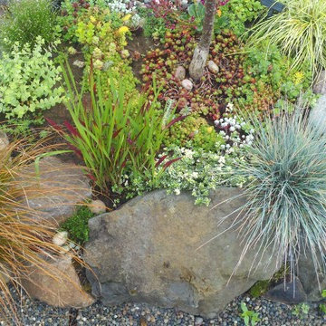 RAIN GARDENS, BIO-SWALES, GREEN DRAINAGE SOLUTIONS